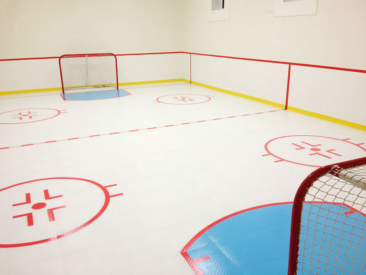 Pistas de Hockey | Arena de Patinaje para deportes con Ruedas